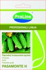 Agurkai, Agurkų Sėklos Pasamonte H Internetu